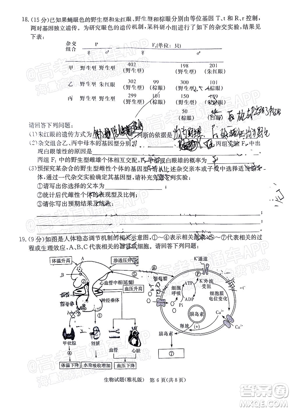炎德英才大聯(lián)考雅禮中學(xué)2022屆高三月考試卷七生物試題及答案
