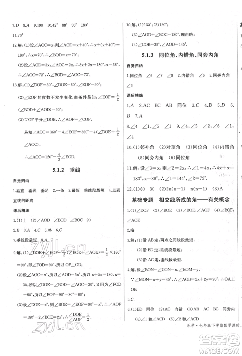 長江少年兒童出版社2022樂學(xué)課堂課時學(xué)講練七年級數(shù)學(xué)下冊人教版參考答案