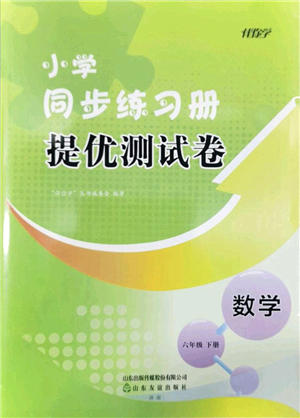山東友誼出版社2022小學同步練習冊提優(yōu)測試卷六年級數(shù)學下冊人教版答案