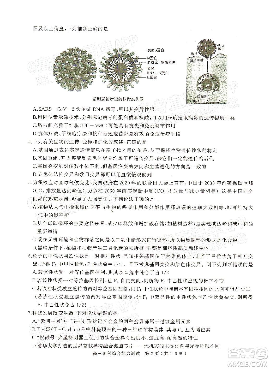 2022年河南省六市高三第一次聯(lián)合調(diào)研檢測理科綜合試題及答案