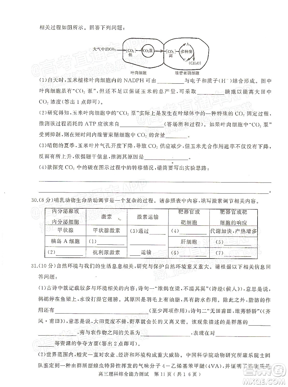 2022年河南省六市高三第一次聯(lián)合調(diào)研檢測理科綜合試題及答案