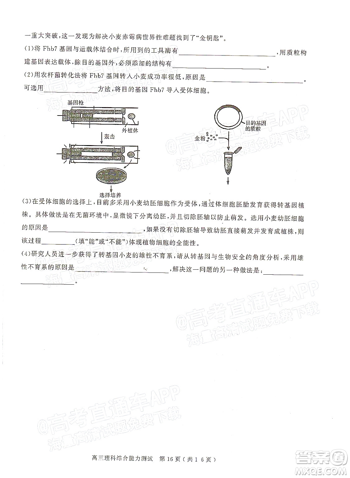 2022年河南省六市高三第一次聯(lián)合調(diào)研檢測理科綜合試題及答案