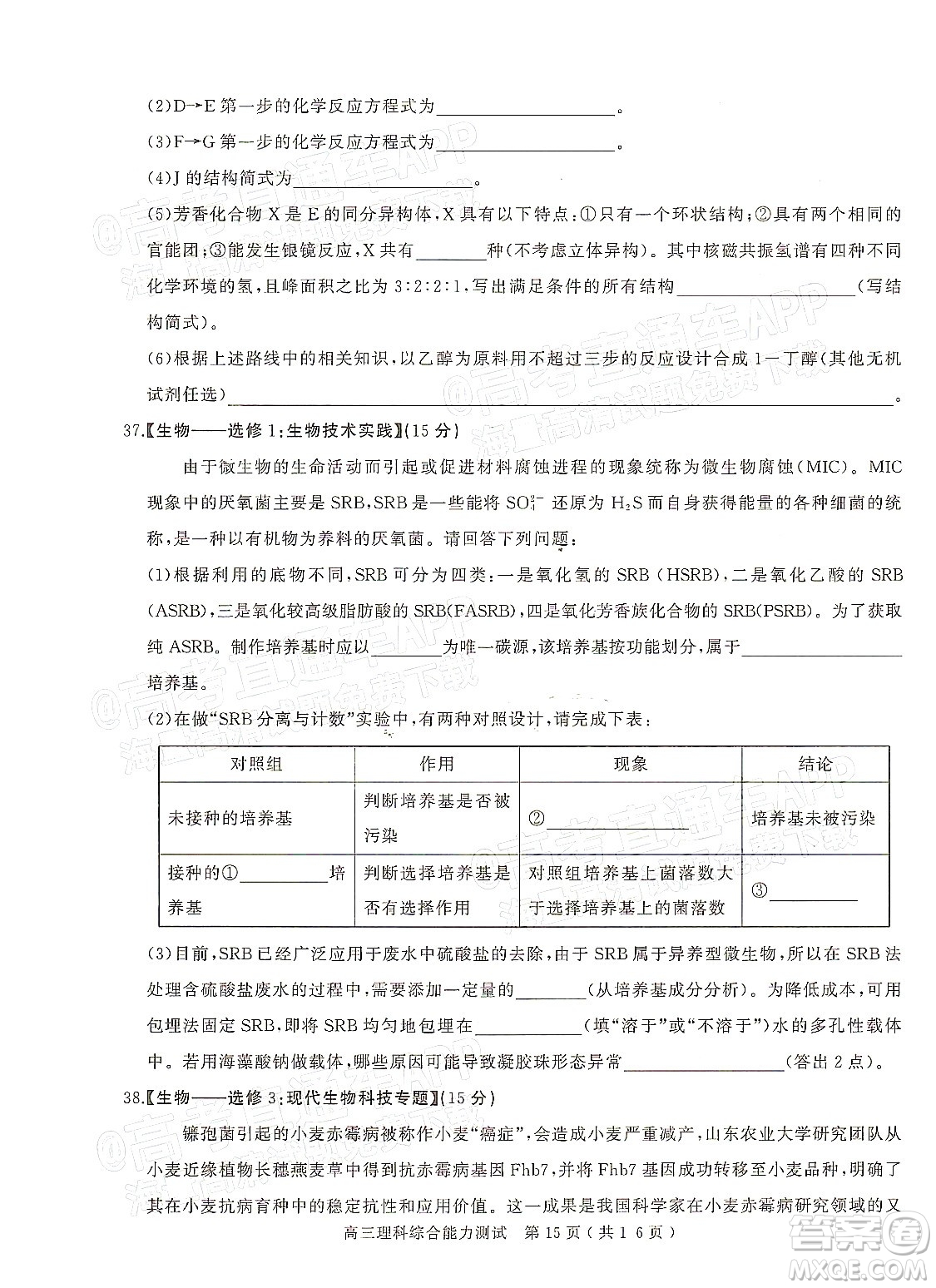 2022年河南省六市高三第一次聯(lián)合調(diào)研檢測理科綜合試題及答案