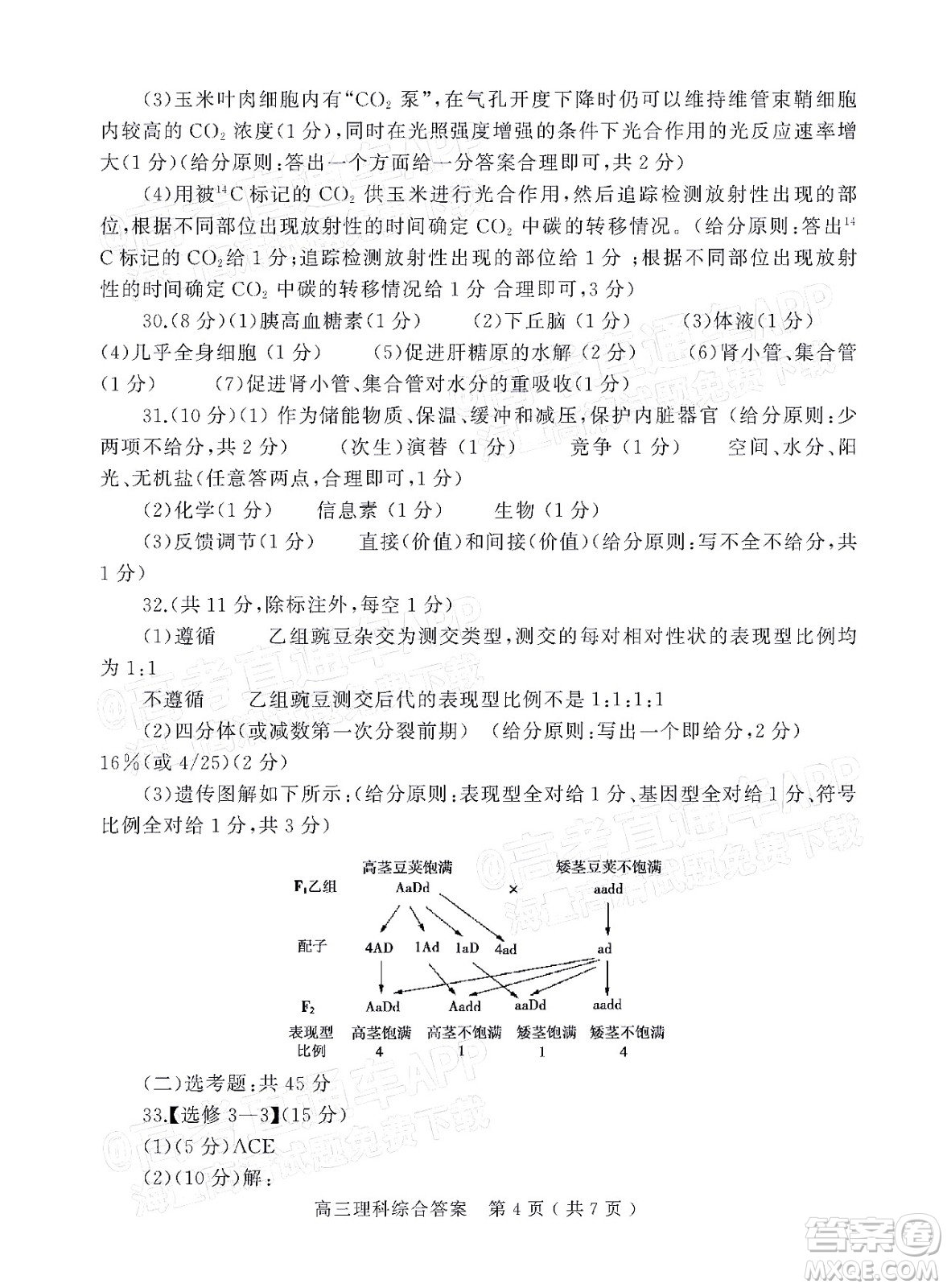 2022年河南省六市高三第一次聯(lián)合調(diào)研檢測理科綜合試題及答案