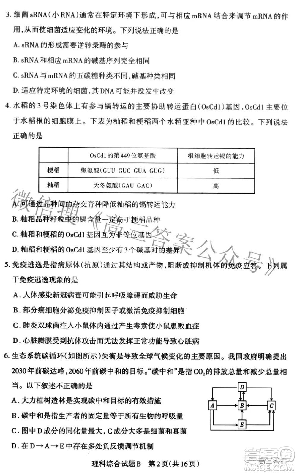 2022年山西省高考考前適應(yīng)性測試理科綜合試題及答案