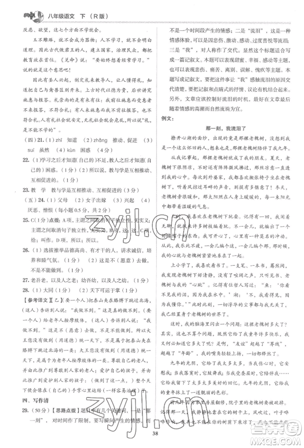 陜西人民教育出版社2022典中點綜合應用創(chuàng)新題八年級語文下冊人教版參考答案