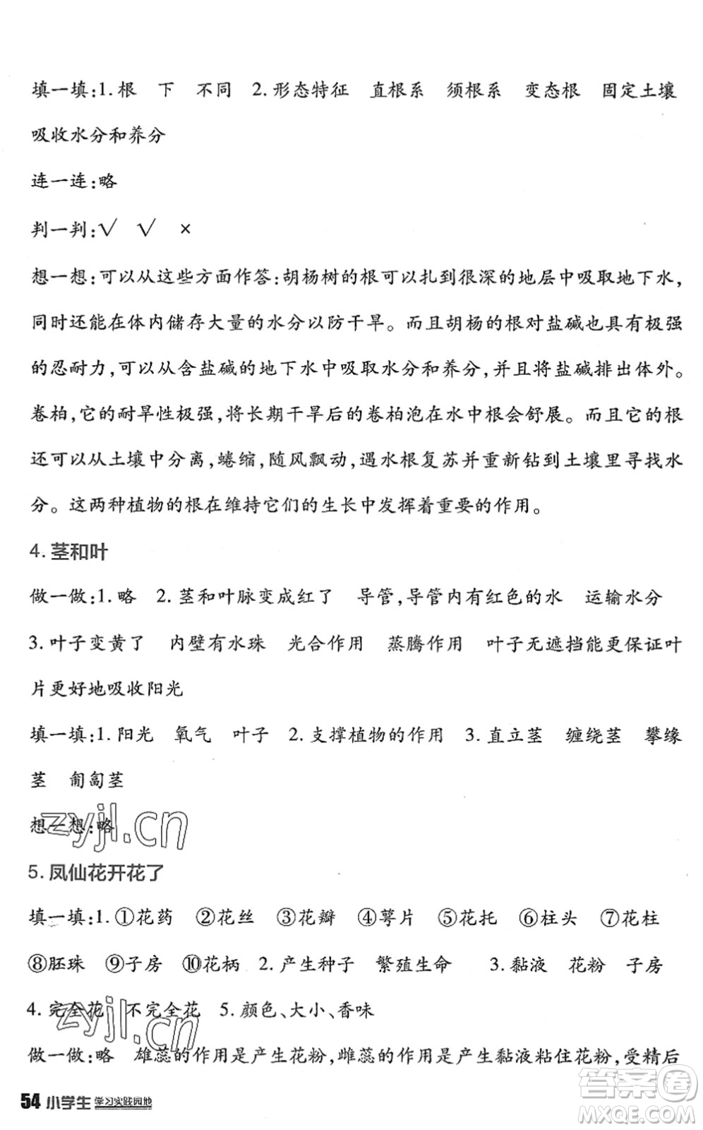 四川教育出版社2022新課標小學(xué)生學(xué)習(xí)實踐園地四年級科學(xué)下冊教科版答案