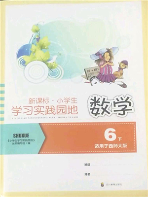 四川教育出版社2022新課標小學生學習實踐園地六年級數(shù)學下冊西師大版答案