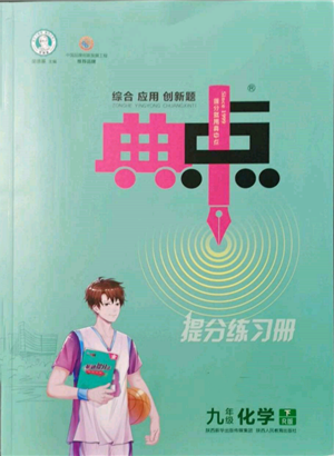 陜西人民教育出版社2022典中點(diǎn)綜合應(yīng)用創(chuàng)新題九年級化學(xué)下冊人教版參考答案