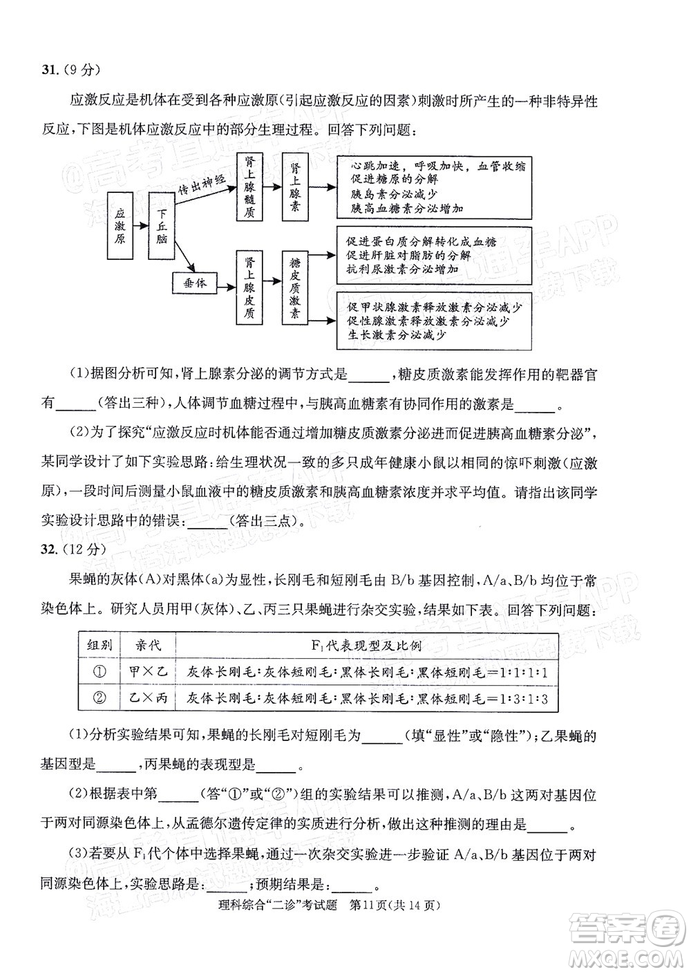 成都市2019級高中畢業(yè)班第二次診斷性檢測理科綜合試題及答案