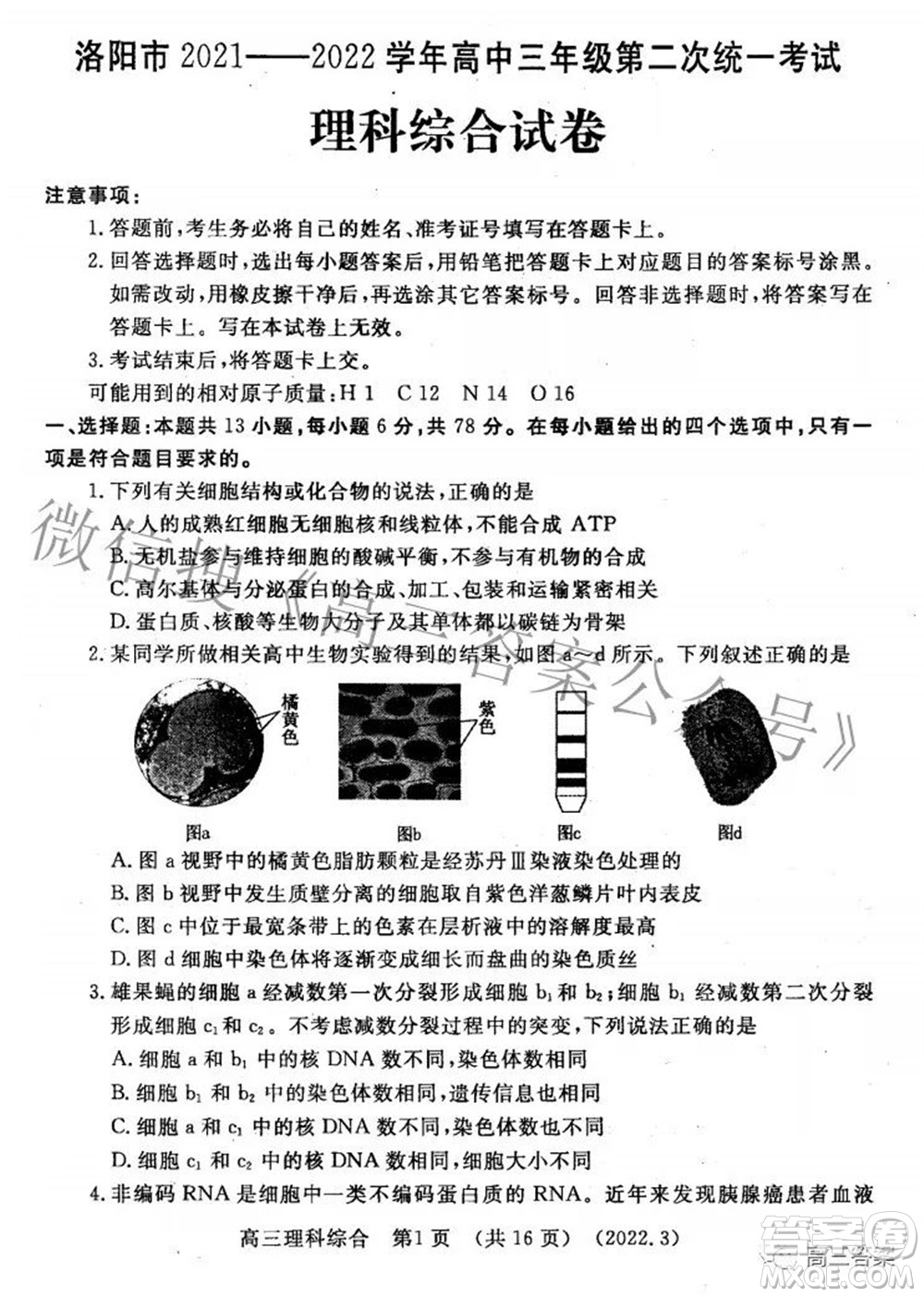 洛陽市2021-2022學(xué)年高中三年級第二次統(tǒng)一考試理科綜合試題及答案