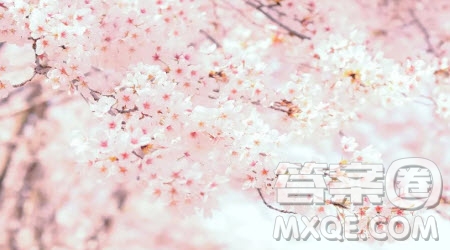 我以詩詞為知己作文600字 關(guān)于我以詩詞為知己為題目的作文600字