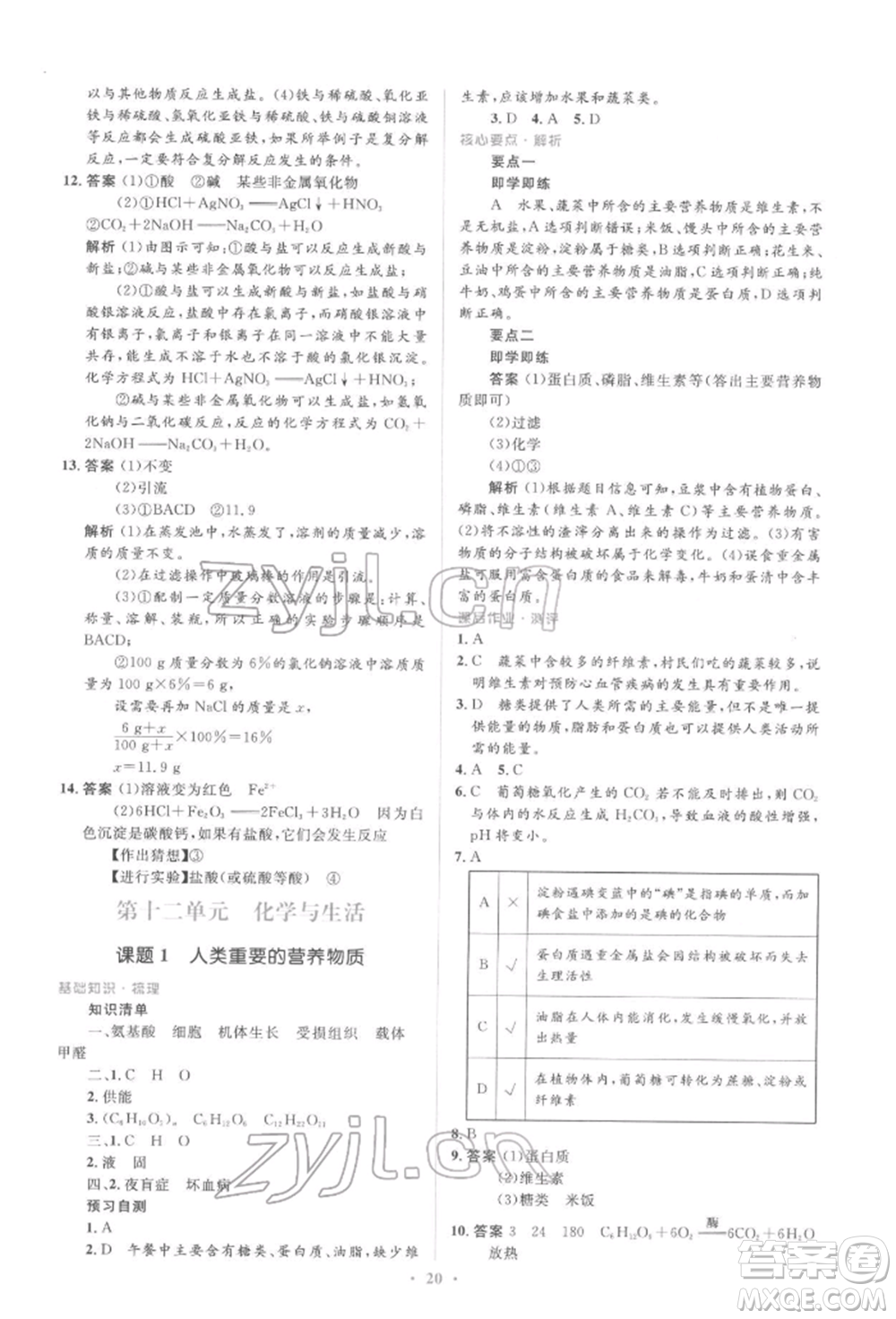 人民教育出版社2022同步解析與測評(píng)學(xué)考練九年級(jí)下冊化學(xué)人教版參考答案