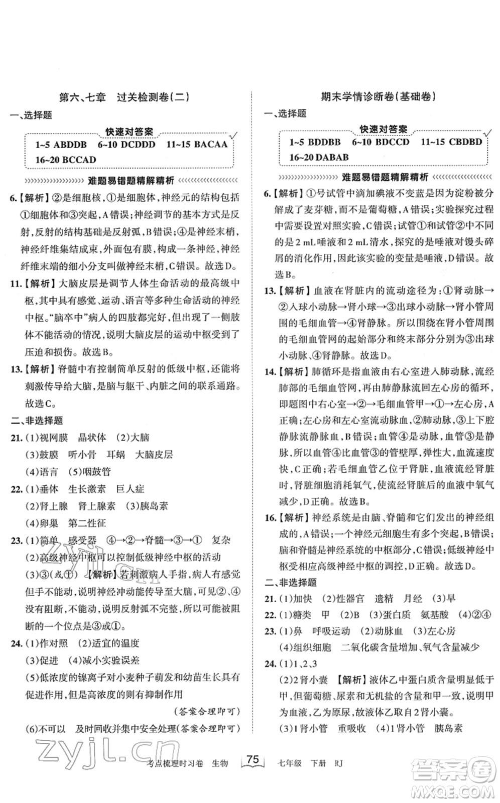 江西人民出版社2022王朝霞考點(diǎn)梳理時(shí)習(xí)卷七年級(jí)生物下冊(cè)RJ人教版答案