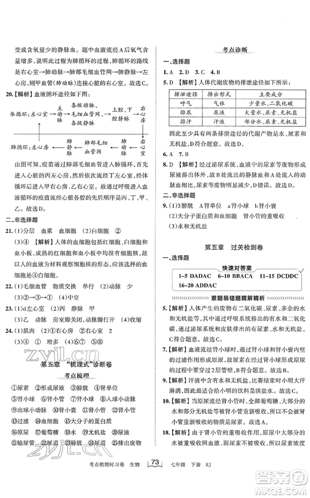 江西人民出版社2022王朝霞考點(diǎn)梳理時(shí)習(xí)卷七年級(jí)生物下冊(cè)RJ人教版答案