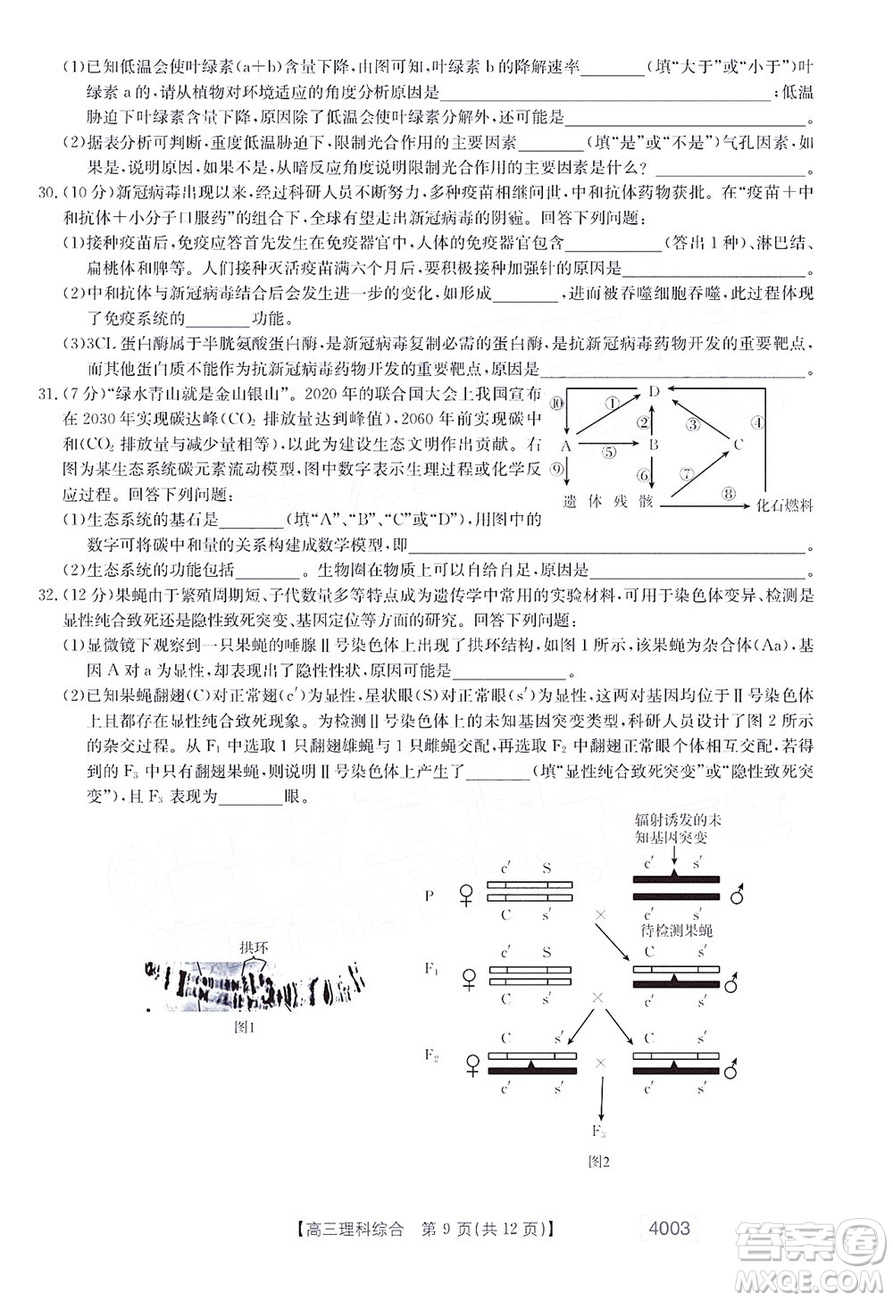 2022金太陽4003聯(lián)考高三理科綜合試題及答案