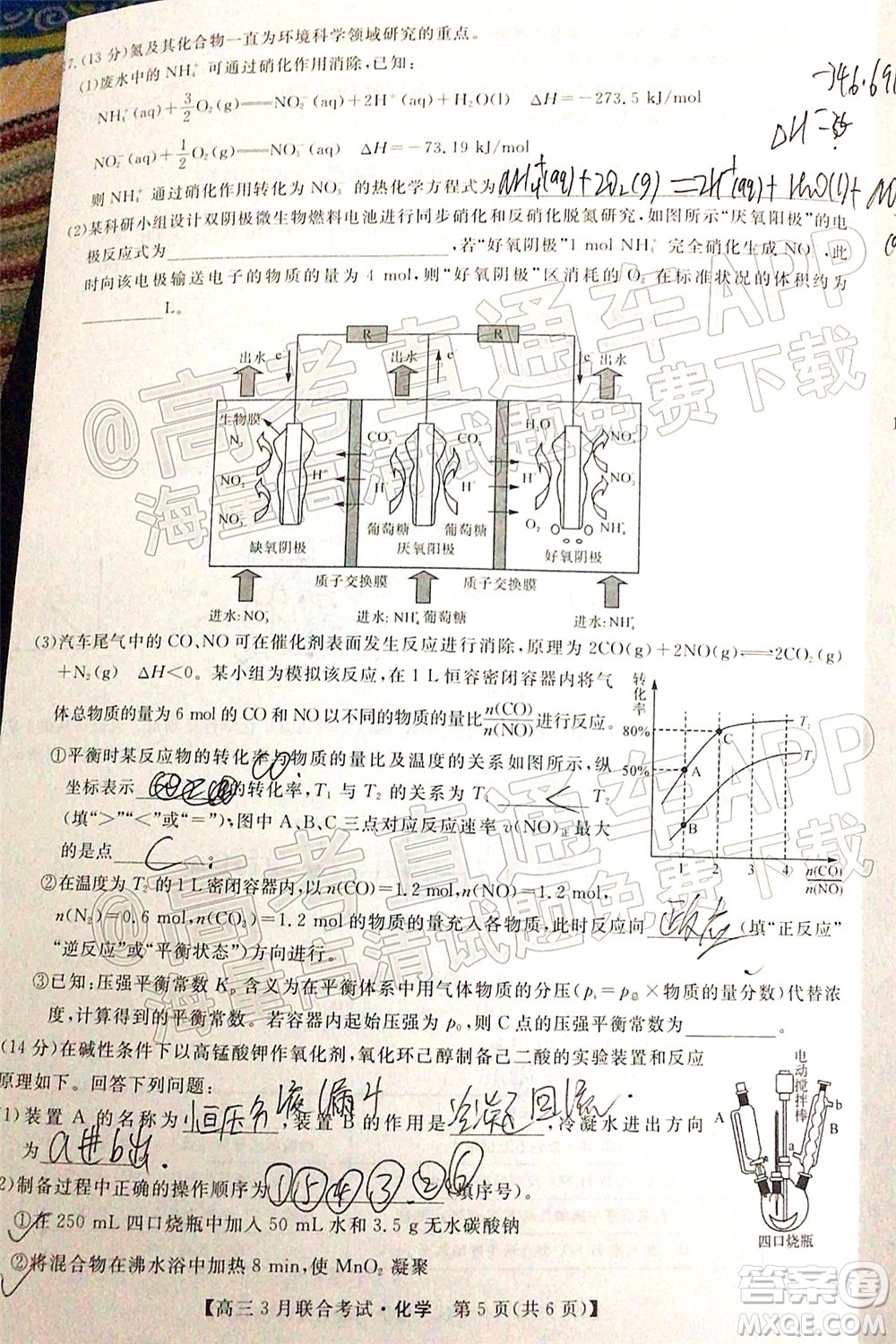 暢學無憂遼寧2022屆高三3月聯(lián)合考試化學試題及答案