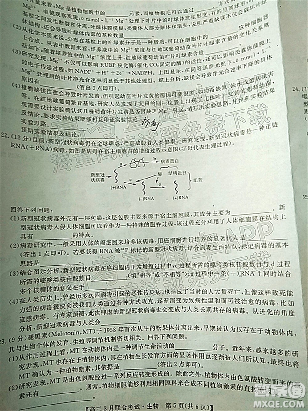 暢學(xué)無憂遼寧2022屆高三3月聯(lián)合考試生物試題及答案