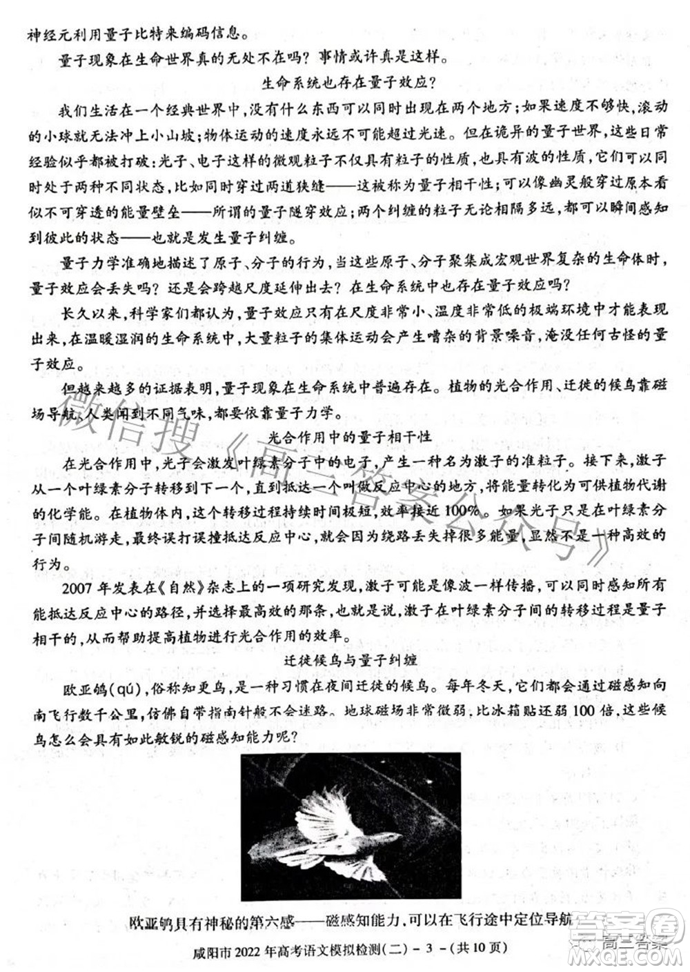 咸陽(yáng)市2022年高考模擬檢測(cè)二語(yǔ)文試題及答案
