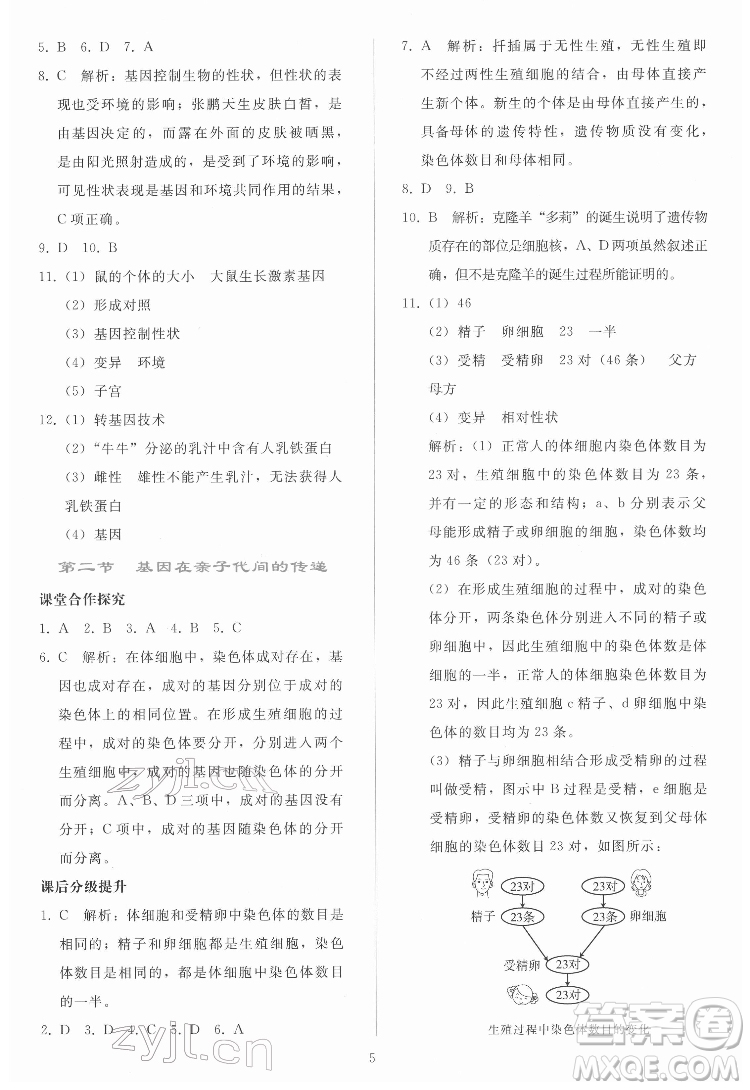 人民教育出版社2022同步輕松練習生物學八年級下冊人教版答案