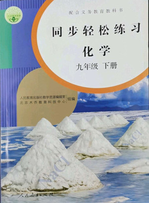 人民教育出版社2022同步輕松練習(xí)化學(xué)九年級(jí)下冊(cè)人教版答案