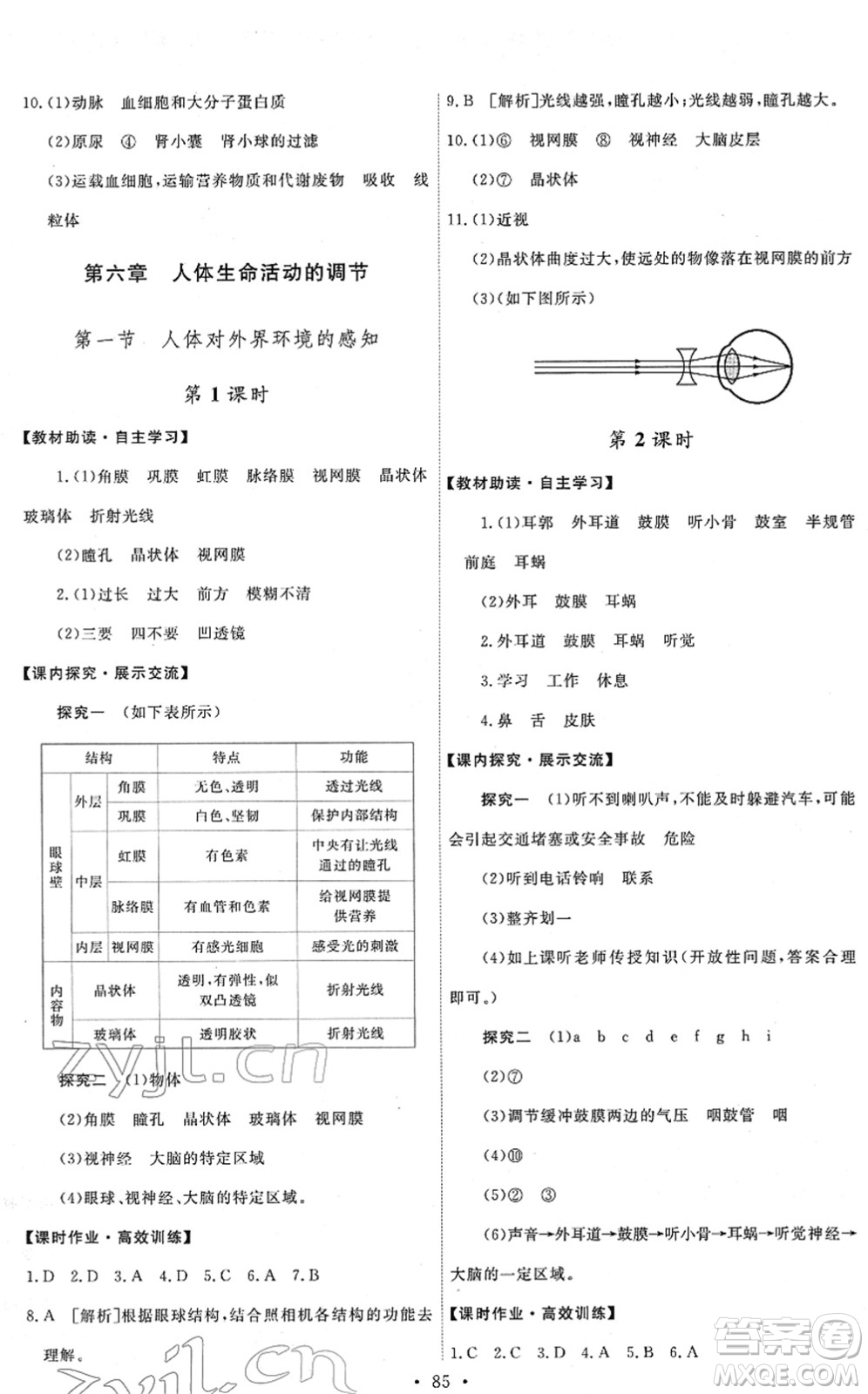 人民教育出版社2022能力培養(yǎng)與測試七年級生物下冊人教版答案