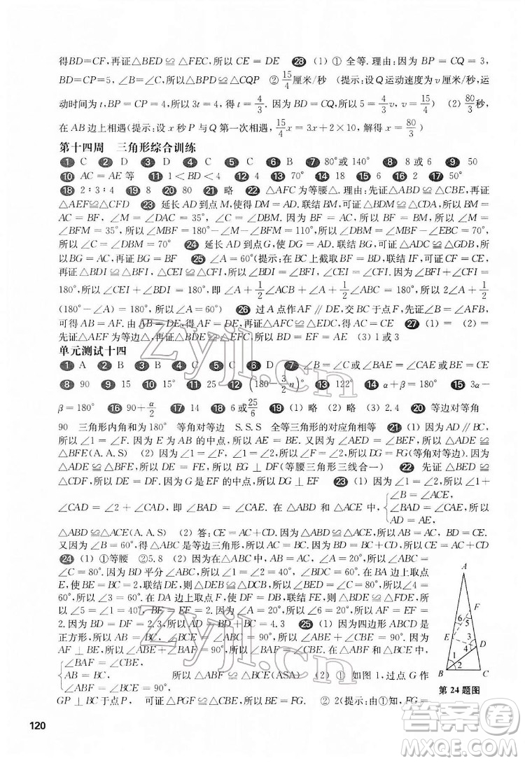 華東師范大學(xué)出版社2022一課一練七年級(jí)數(shù)學(xué)N版第二學(xué)期增強(qiáng)版華東師大版答案