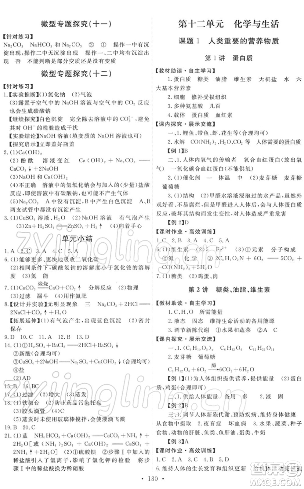 人民教育出版社2022能力培養(yǎng)與測(cè)試九年級(jí)化學(xué)下冊(cè)人教版答案