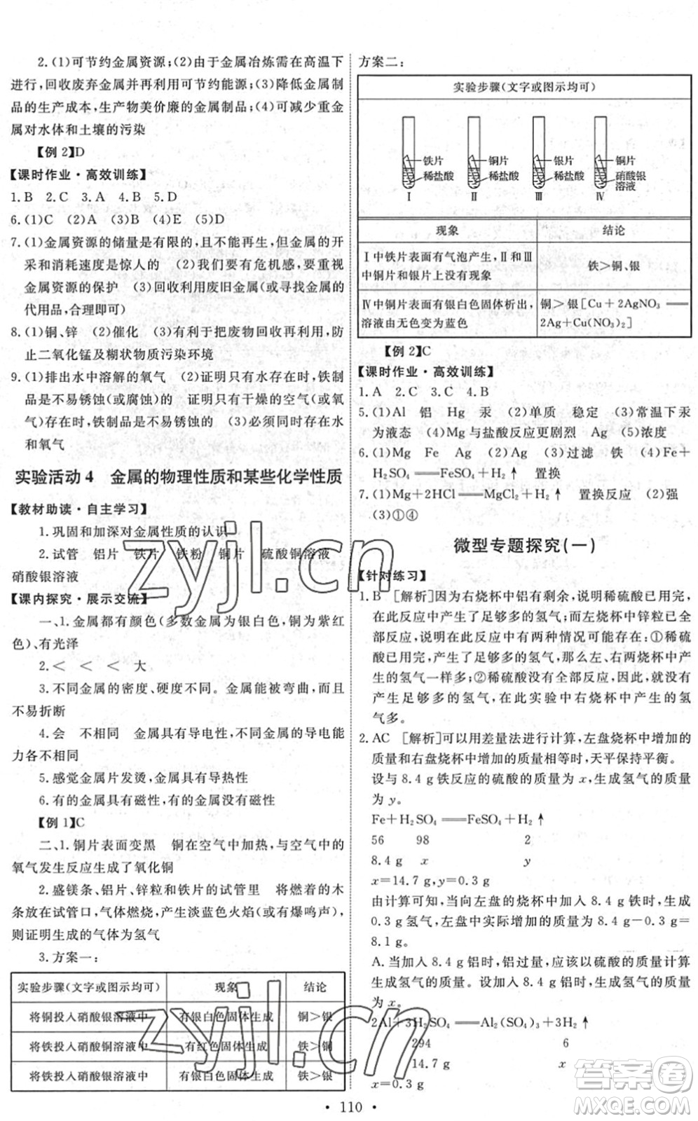 人民教育出版社2022能力培養(yǎng)與測(cè)試九年級(jí)化學(xué)下冊(cè)人教版湖南專版答案