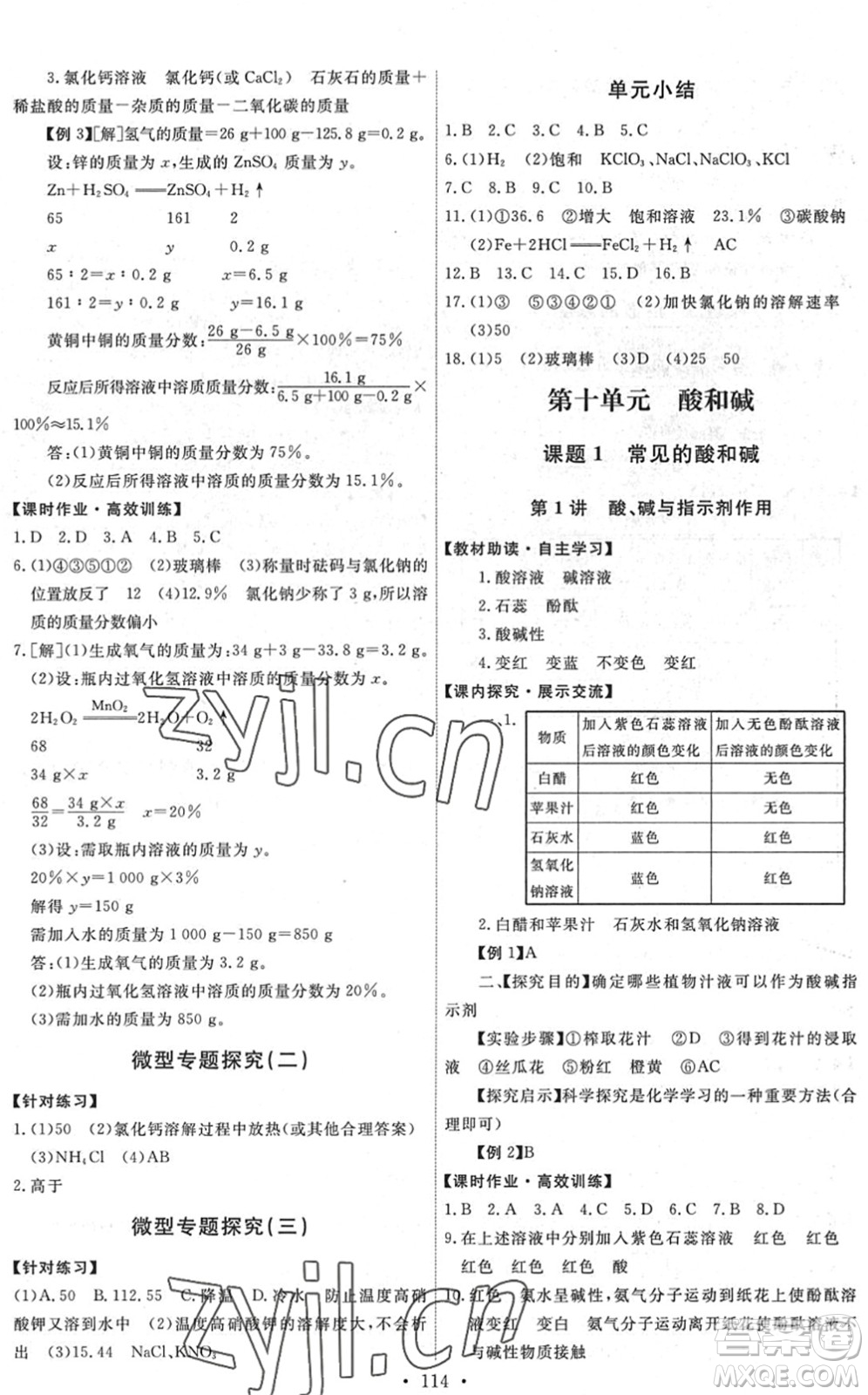 人民教育出版社2022能力培養(yǎng)與測(cè)試九年級(jí)化學(xué)下冊(cè)人教版湖南專版答案