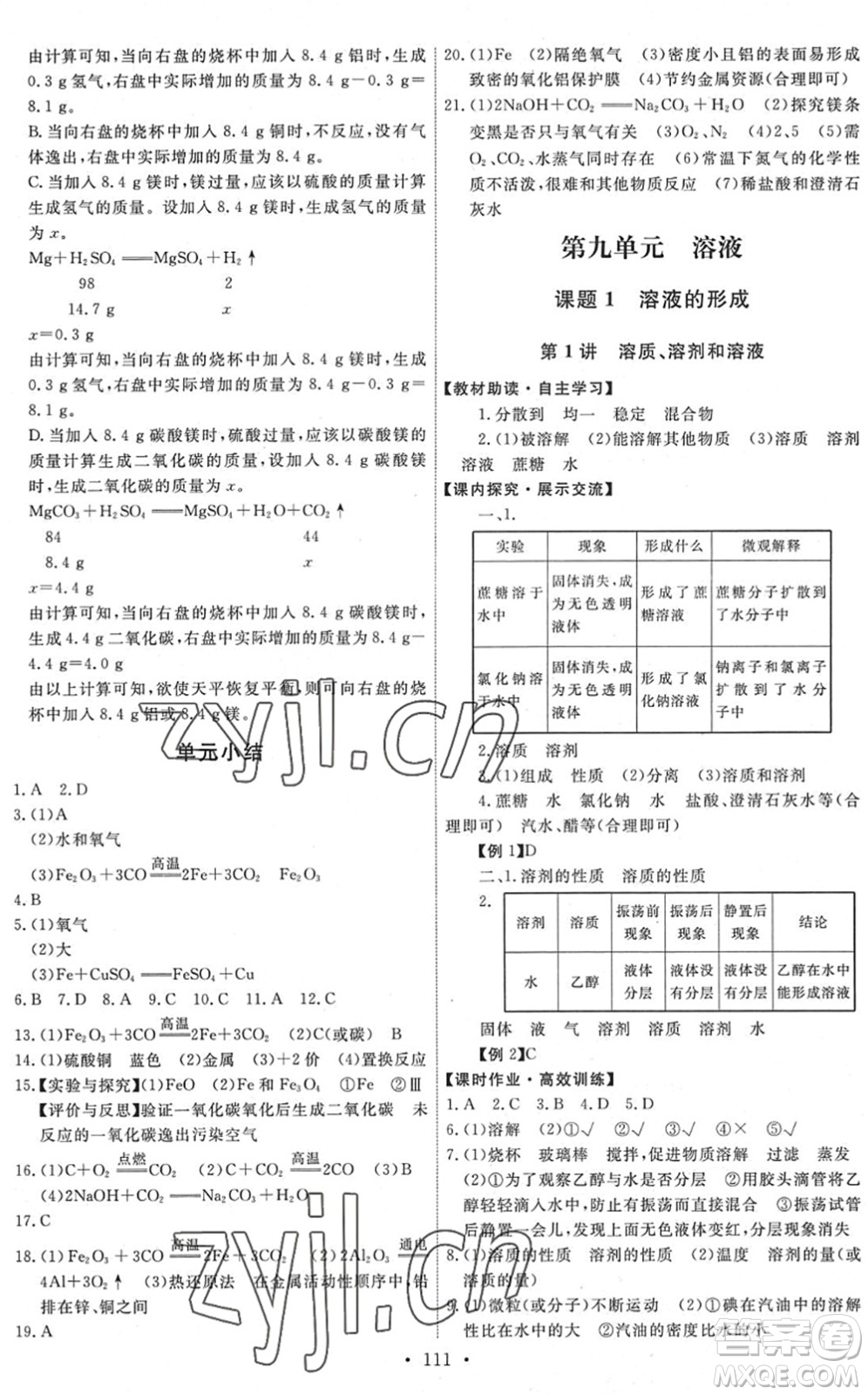 人民教育出版社2022能力培養(yǎng)與測(cè)試九年級(jí)化學(xué)下冊(cè)人教版湖南專版答案