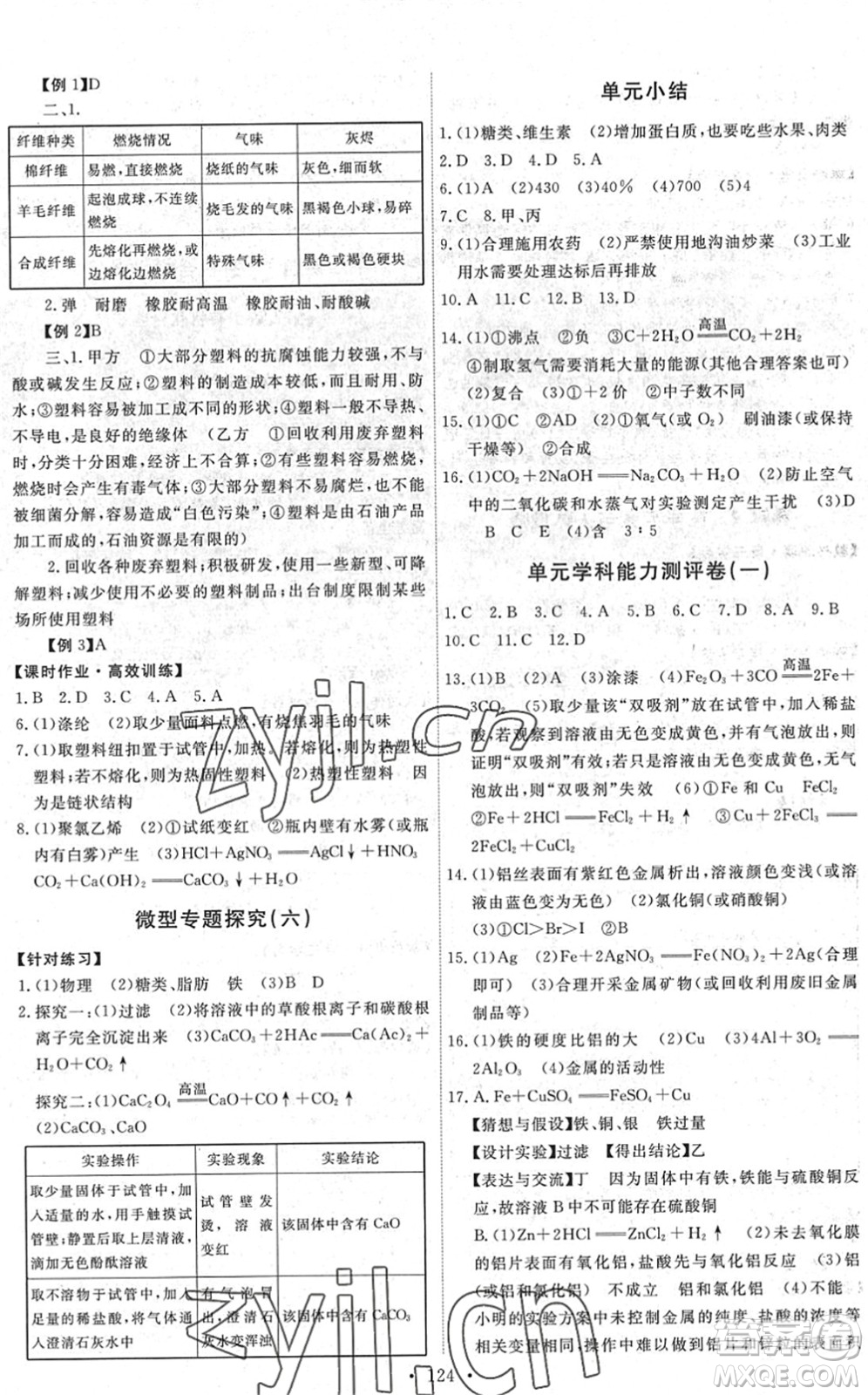 人民教育出版社2022能力培養(yǎng)與測(cè)試九年級(jí)化學(xué)下冊(cè)人教版湖南專版答案