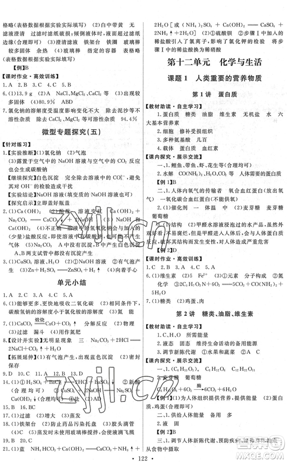 人民教育出版社2022能力培養(yǎng)與測(cè)試九年級(jí)化學(xué)下冊(cè)人教版湖南專版答案