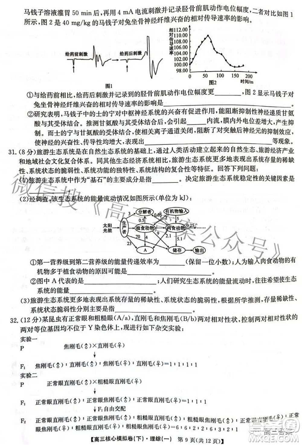 九師聯(lián)盟2021-2022學(xué)年高三核心模擬卷下一理科綜合試題及答案