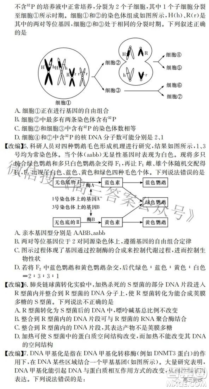 2022屆高三湖南四大名校名師團(tuán)隊周模卷1生物試題及答案