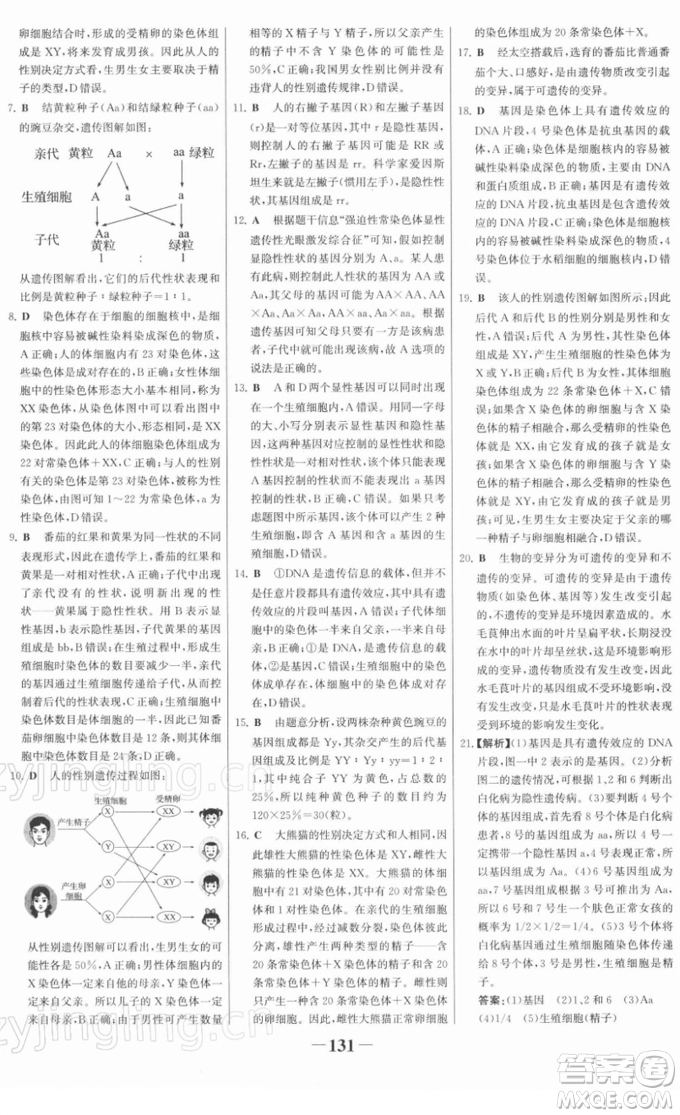 河北少年兒童出版社2022金榜學(xué)案八年級生物下冊人教版河南專版答案