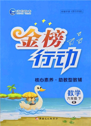 新疆文化出版社2022金榜行動六年級數(shù)學下冊R人教版答案