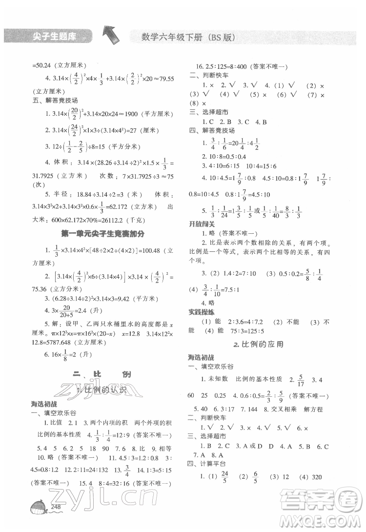 遼寧教育出版社2022尖子生題庫數(shù)學(xué)六年級(jí)下冊BS北師版答案