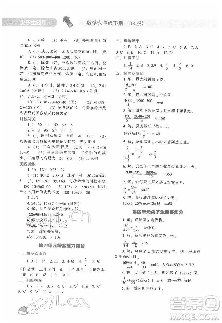 遼寧教育出版社2022尖子生題庫數(shù)學(xué)六年級(jí)下冊BS北師版答案