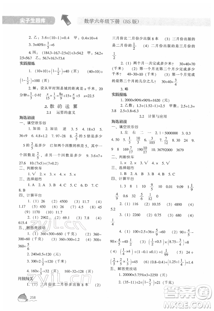 遼寧教育出版社2022尖子生題庫數(shù)學(xué)六年級(jí)下冊BS北師版答案