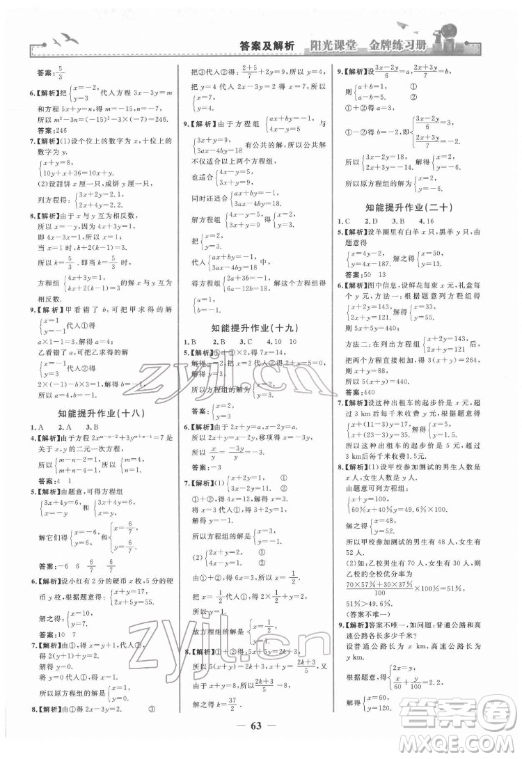 人民教育出版社2022陽(yáng)光課堂金牌練習(xí)冊(cè)數(shù)學(xué)七年級(jí)下冊(cè)人教版答案