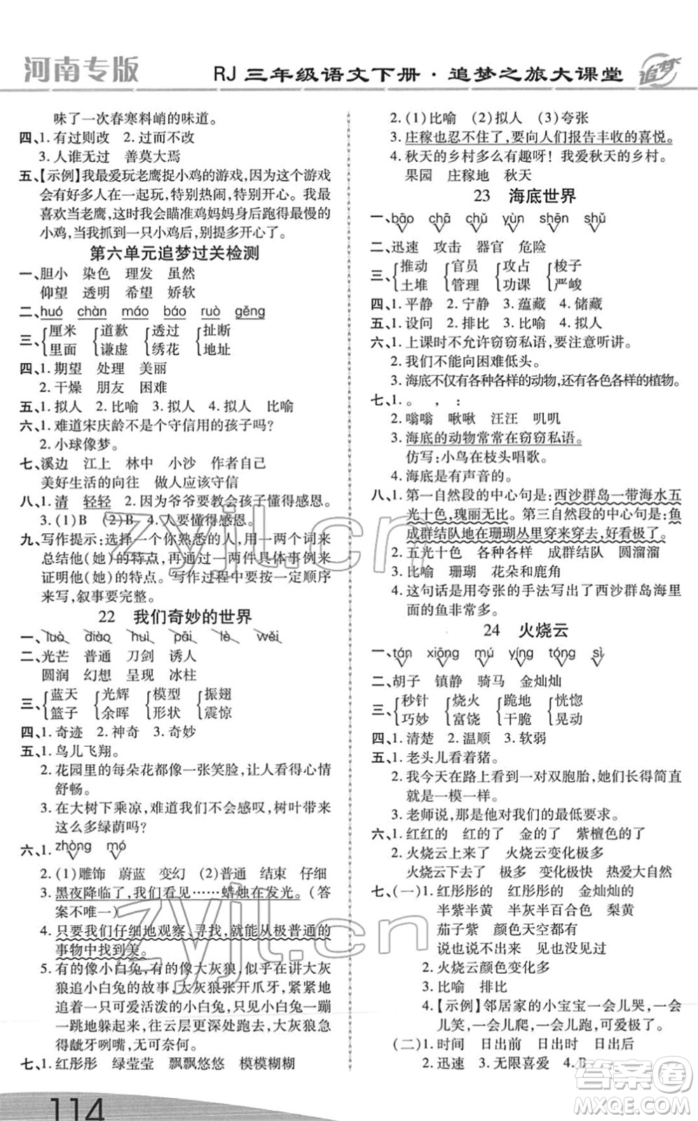 天津科學(xué)技術(shù)出版社2022追夢(mèng)之旅大課堂三年級(jí)語(yǔ)文下冊(cè)RJ人教版河南專版答案
