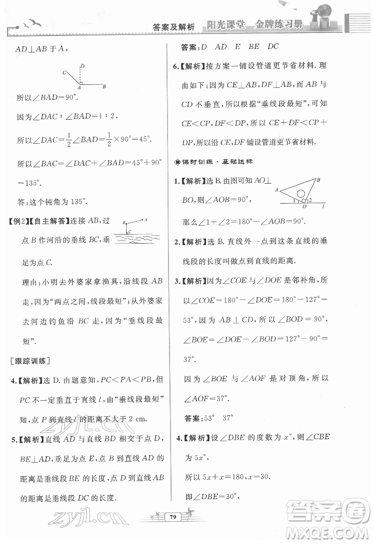 人民教育出版社2022陽(yáng)光課堂金牌練習(xí)冊(cè)數(shù)學(xué)七年級(jí)下冊(cè)人教版福建專版答案