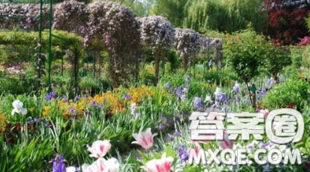關(guān)于學(xué)校的花園的作文400字 與學(xué)校的花園相關(guān)的作文400字