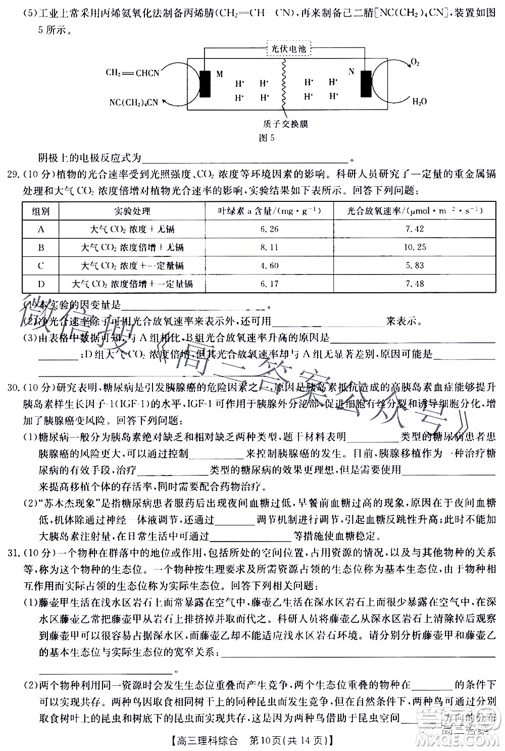 2022年4月金太陽(yáng)高三聯(lián)考理科綜合試題及答案