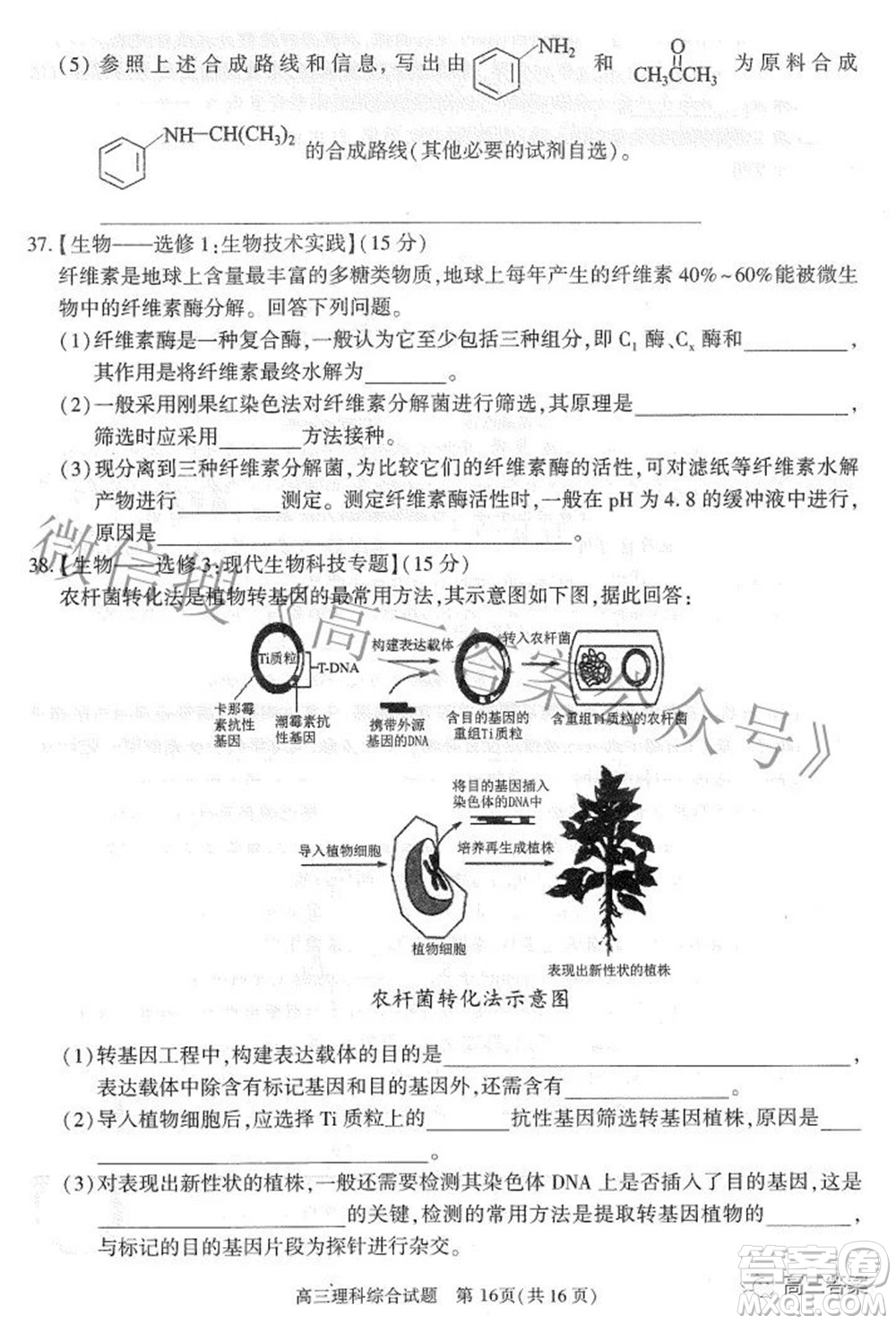 合肥市2022年高三第二次教學(xué)質(zhì)量檢測理科綜合試題及答案