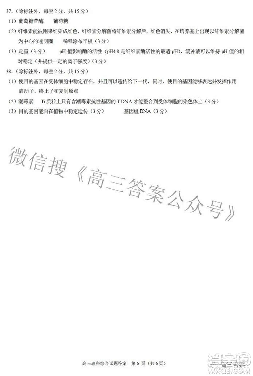 合肥市2022年高三第二次教學(xué)質(zhì)量檢測理科綜合試題及答案