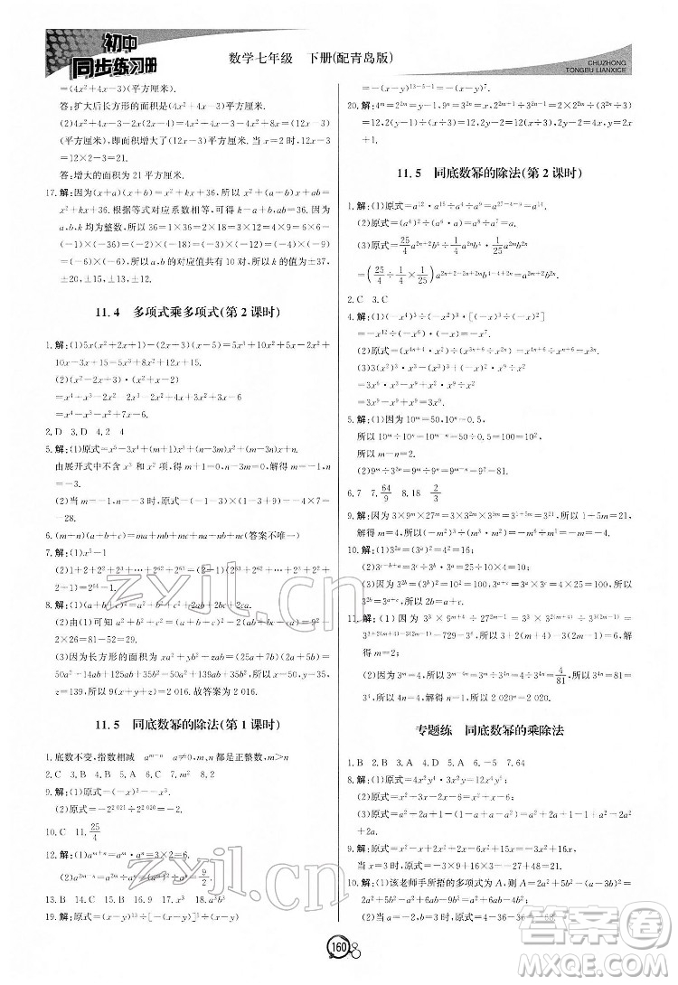 北京教育出版社2022初中同步練習冊數(shù)學七年級下冊青島版答案