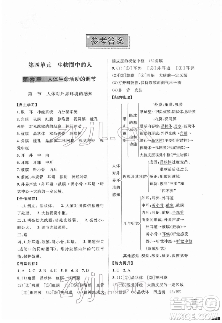 山東教育出版社2022初中同步練習(xí)冊(cè)生物學(xué)七年級(jí)下冊(cè)魯科版答案
