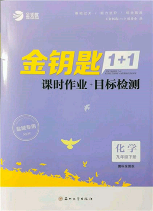 蘇州大學(xué)出版社2022金鑰匙1+1課時作業(yè)目標(biāo)檢測九年級下冊化學(xué)全國版鹽城專版參考答案